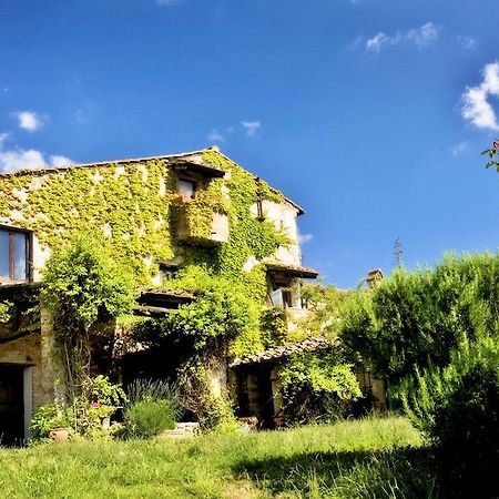 Podere Patrignone Guest House Кастелина ин Кианти Екстериор снимка