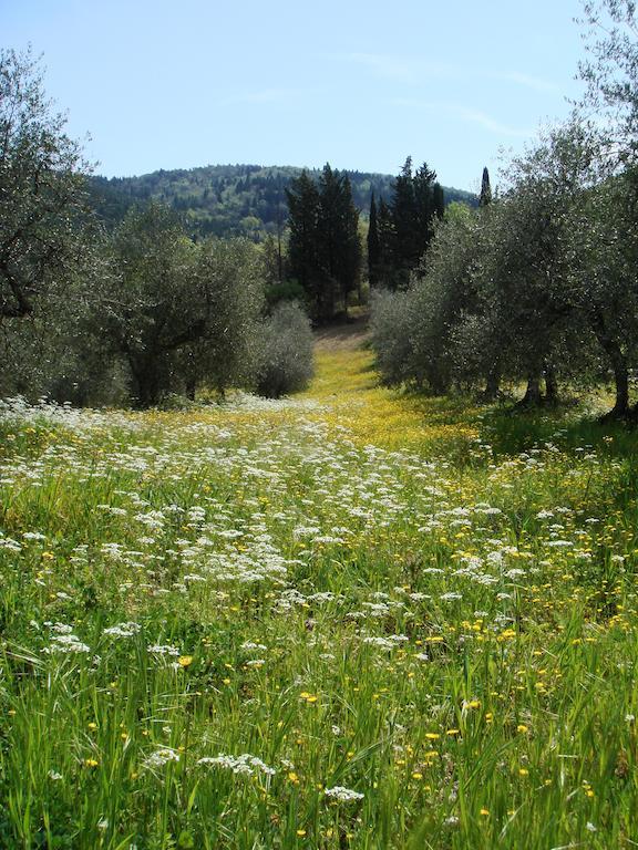 Podere Patrignone Guest House Кастелина ин Кианти Екстериор снимка