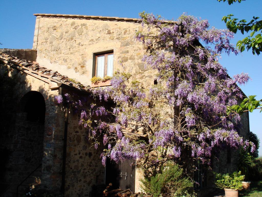 Podere Patrignone Guest House Кастелина ин Кианти Екстериор снимка