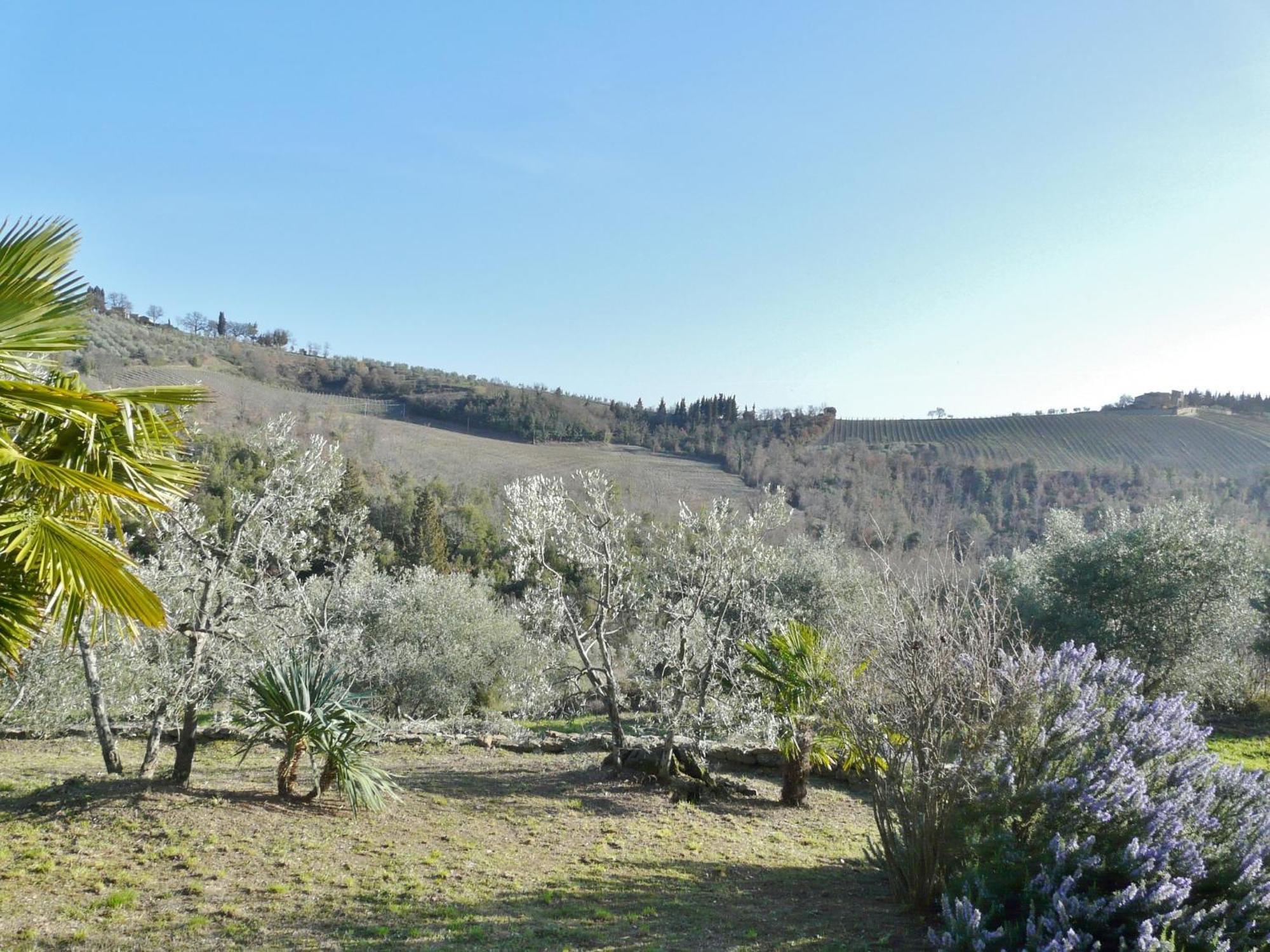Podere Patrignone Guest House Кастелина ин Кианти Стая снимка